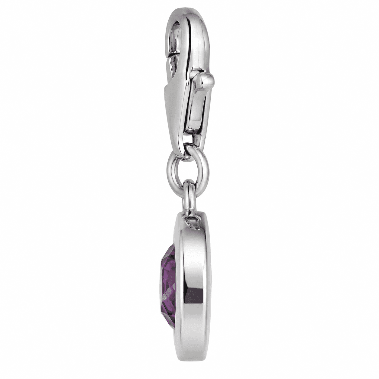 February Galaxy Spiral Amethyst 316L Stainless Steel Charm 2