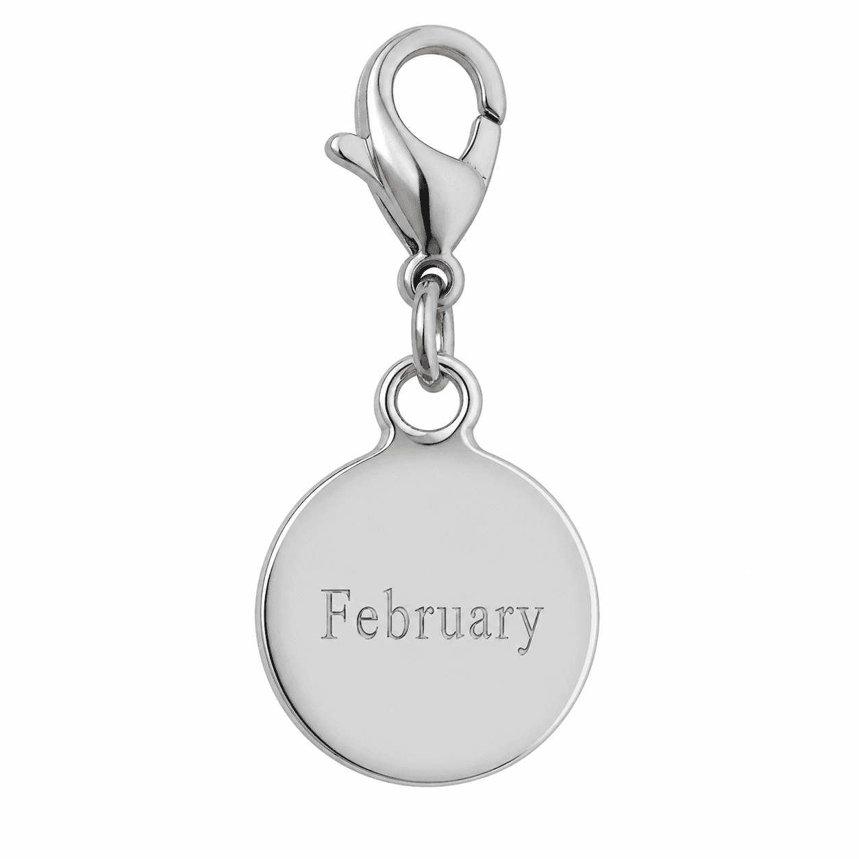 February Galaxy Spiral Amethyst 316L Stainless Steel Charm 4
