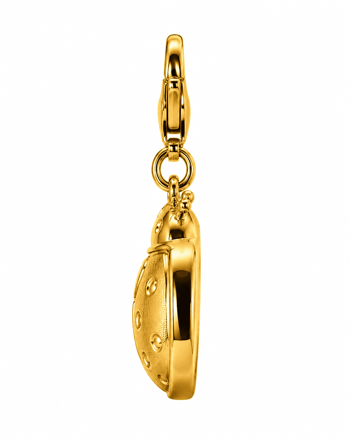 Aurora Golden Ladybug Circle Charm - 316L Stainless Steel, 18K Gold Plated 2