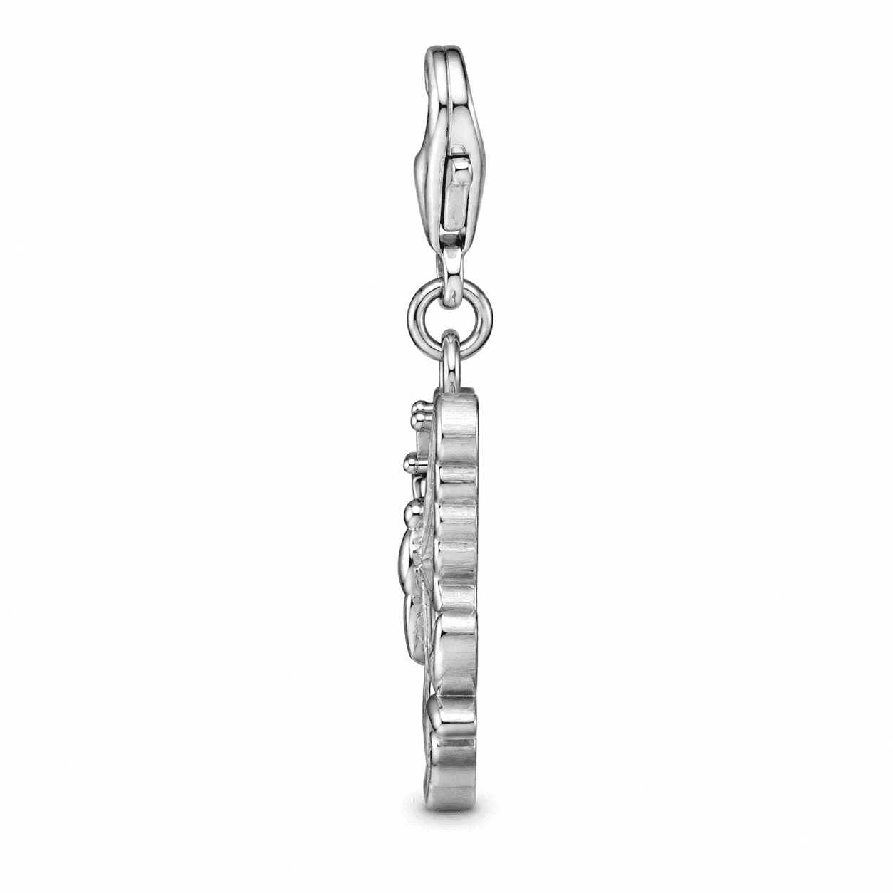 Prince Charming's Bushwing Charm 2