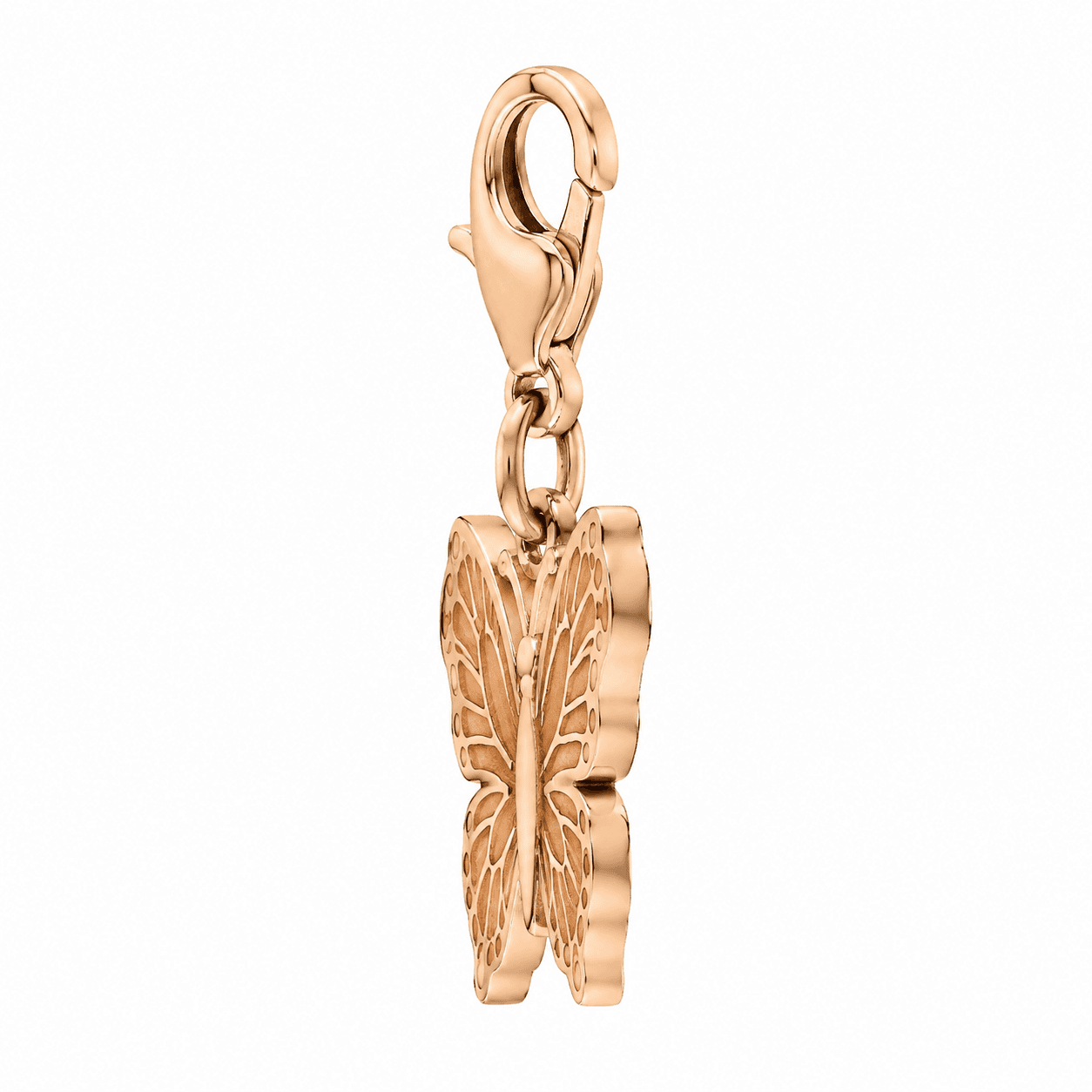 Aurora Wing Whisper 316L Stainless Steel Charm 2