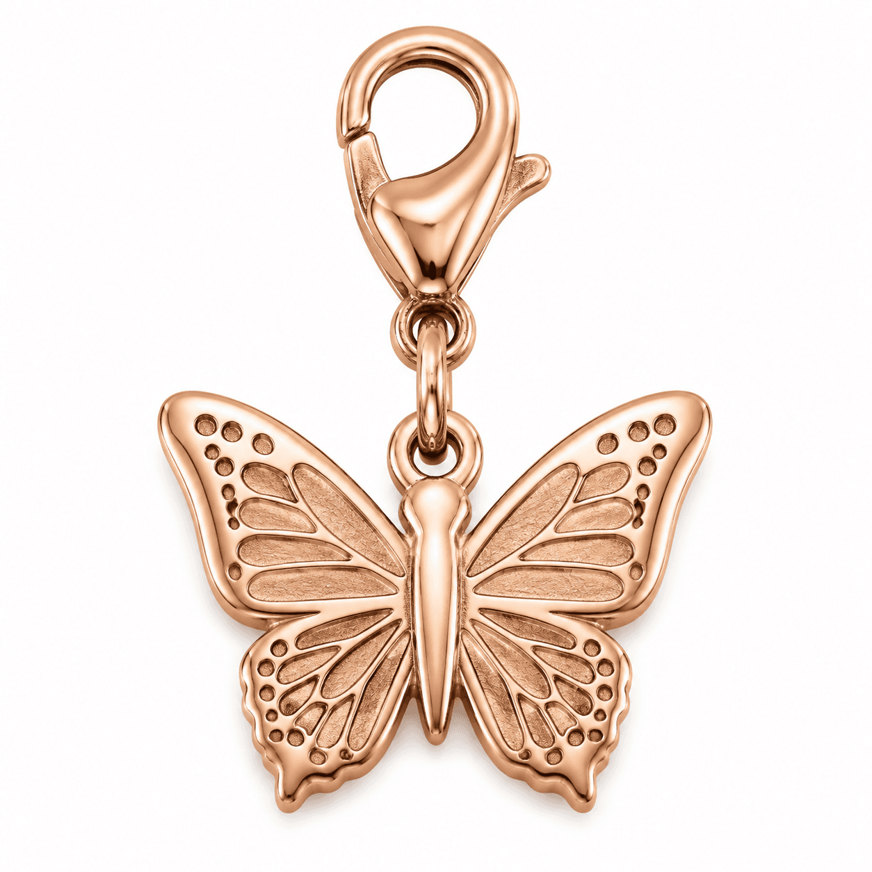Aurora Wing Whisper 316L Stainless Steel Charm 4