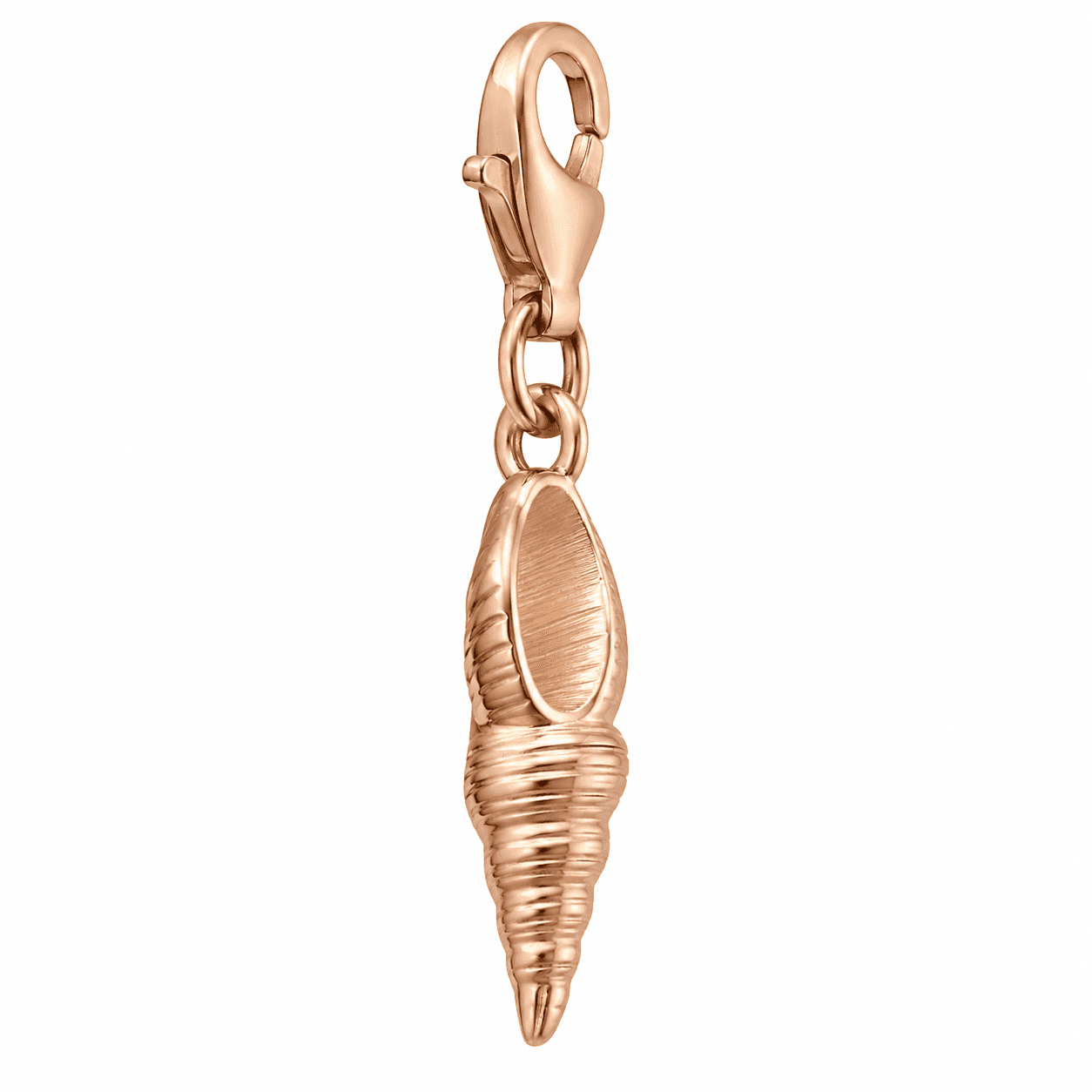 Nautilus Twist PVD Blaue Muschel-Charm (Türkis Micro-Pavé) 2