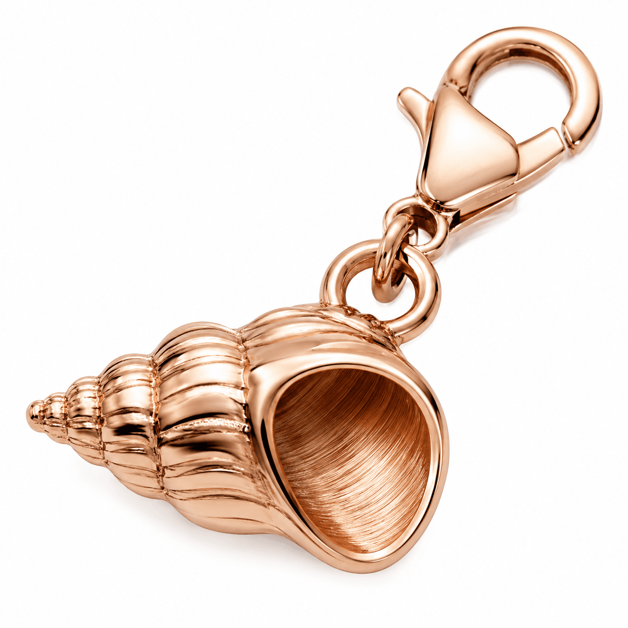 Nautilus Twist PVD Blaue Muschel-Charm (Türkis Micro-Pavé) 3