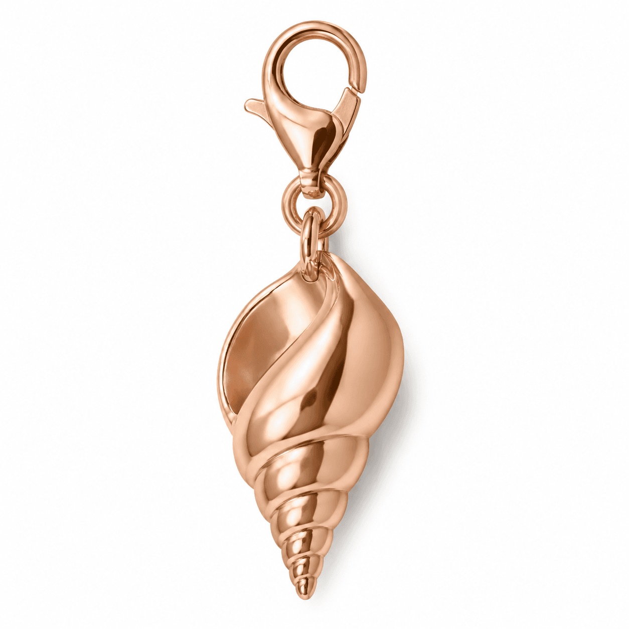 Nautilus Twist PVD Blaue Muschel-Charm (Türkis Micro-Pavé) 4