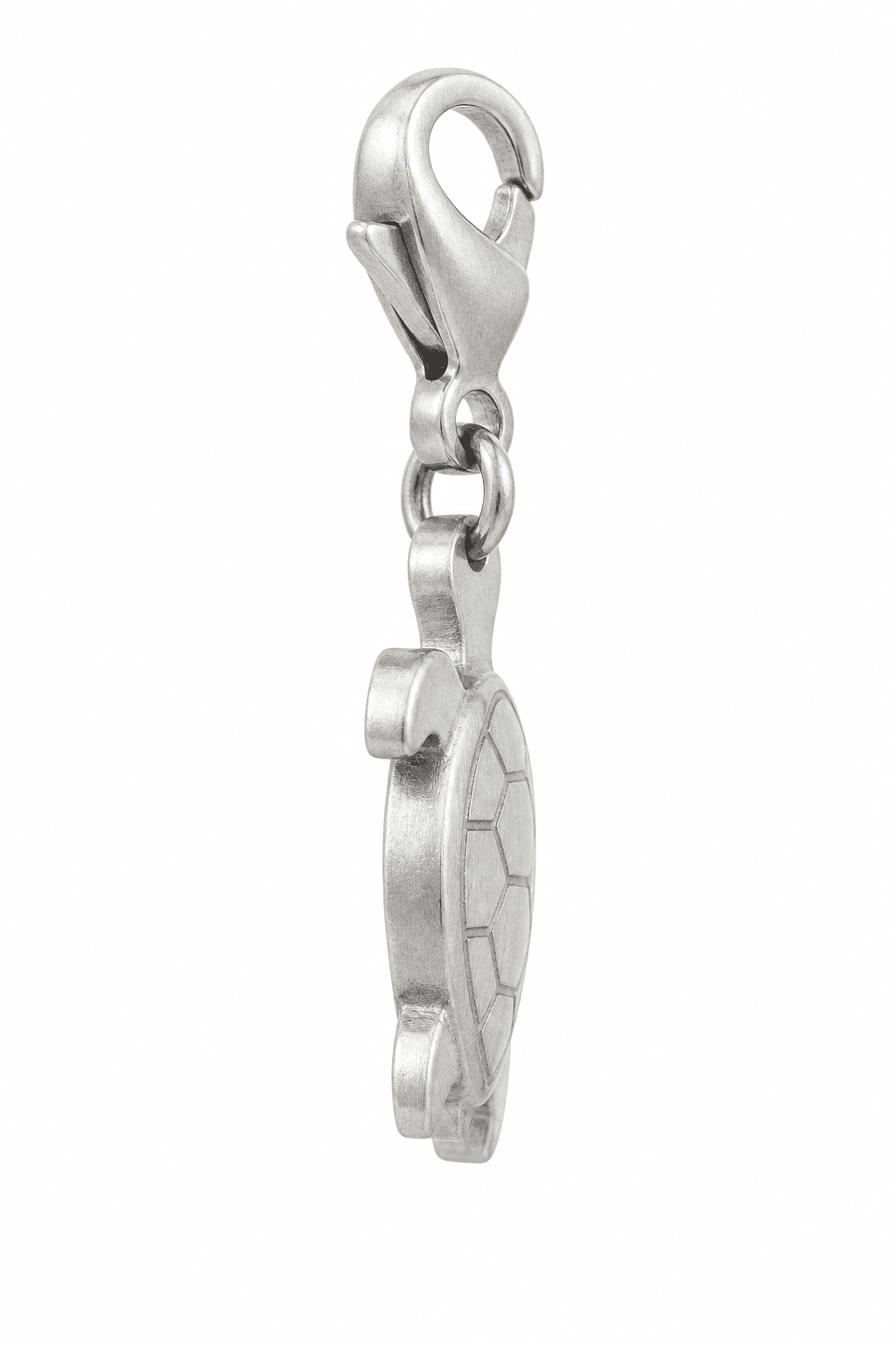 Shell Echo Circle Turtle Openwork Charm 2