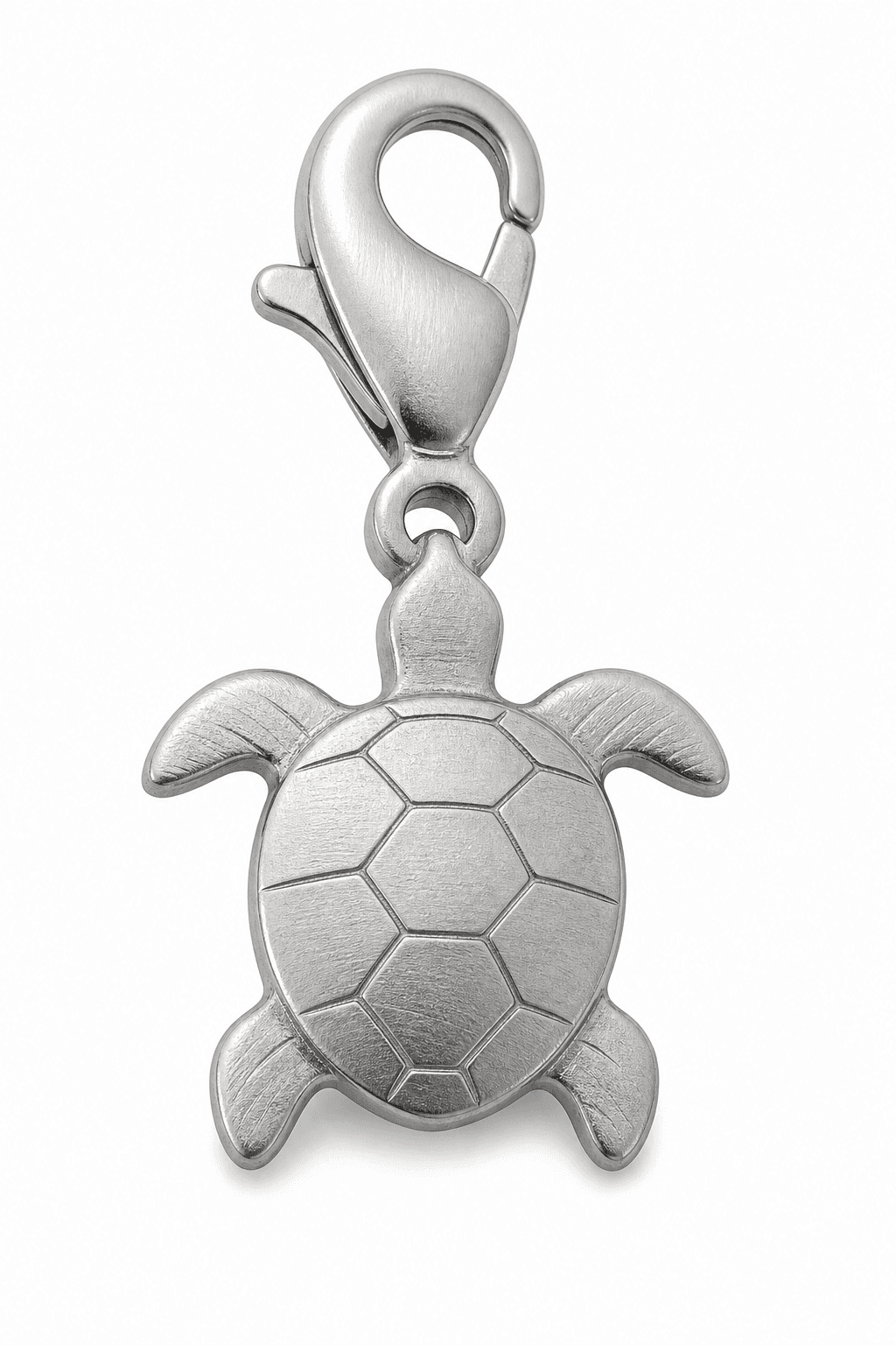 Shell Echo Circle Turtle Openwork Charm 4