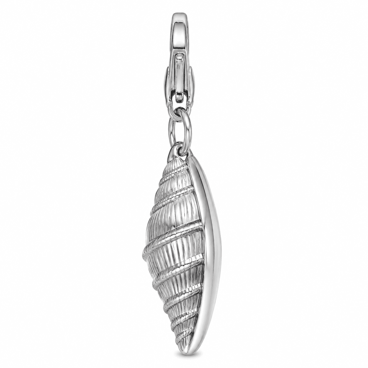 Iridescent Seashell Echo Charm 2