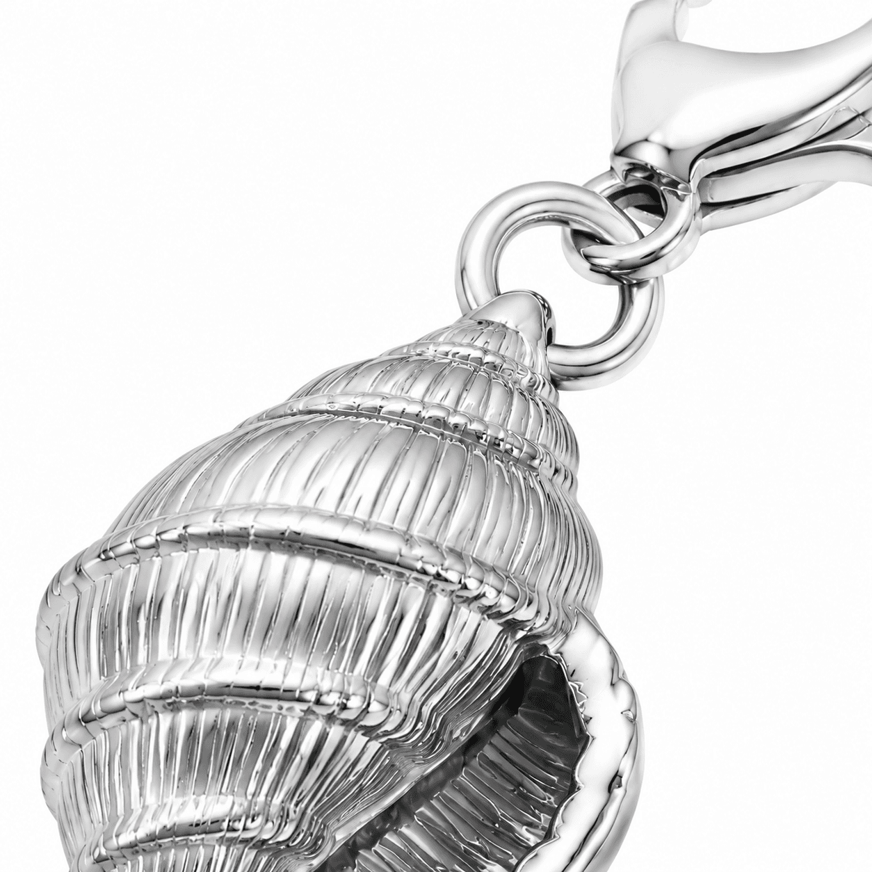 Iridescent Seashell Echo Charm 3