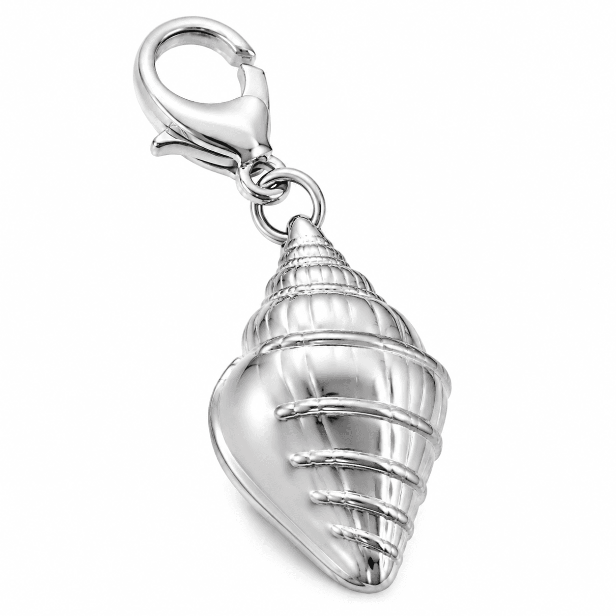 Iridescent Seashell Echo Charm 4