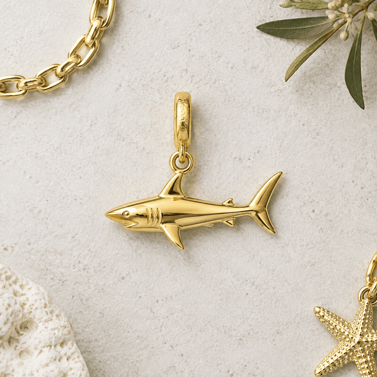 Char Charms Shark Tank: A Designer’s How-To Guide