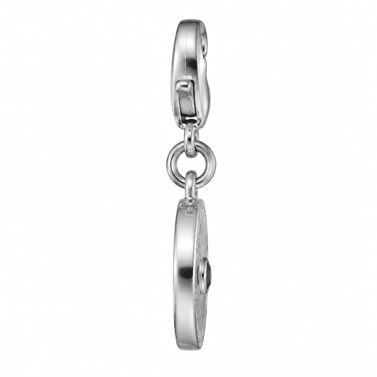 Spiral Skies 316L Zodiac Charm 2