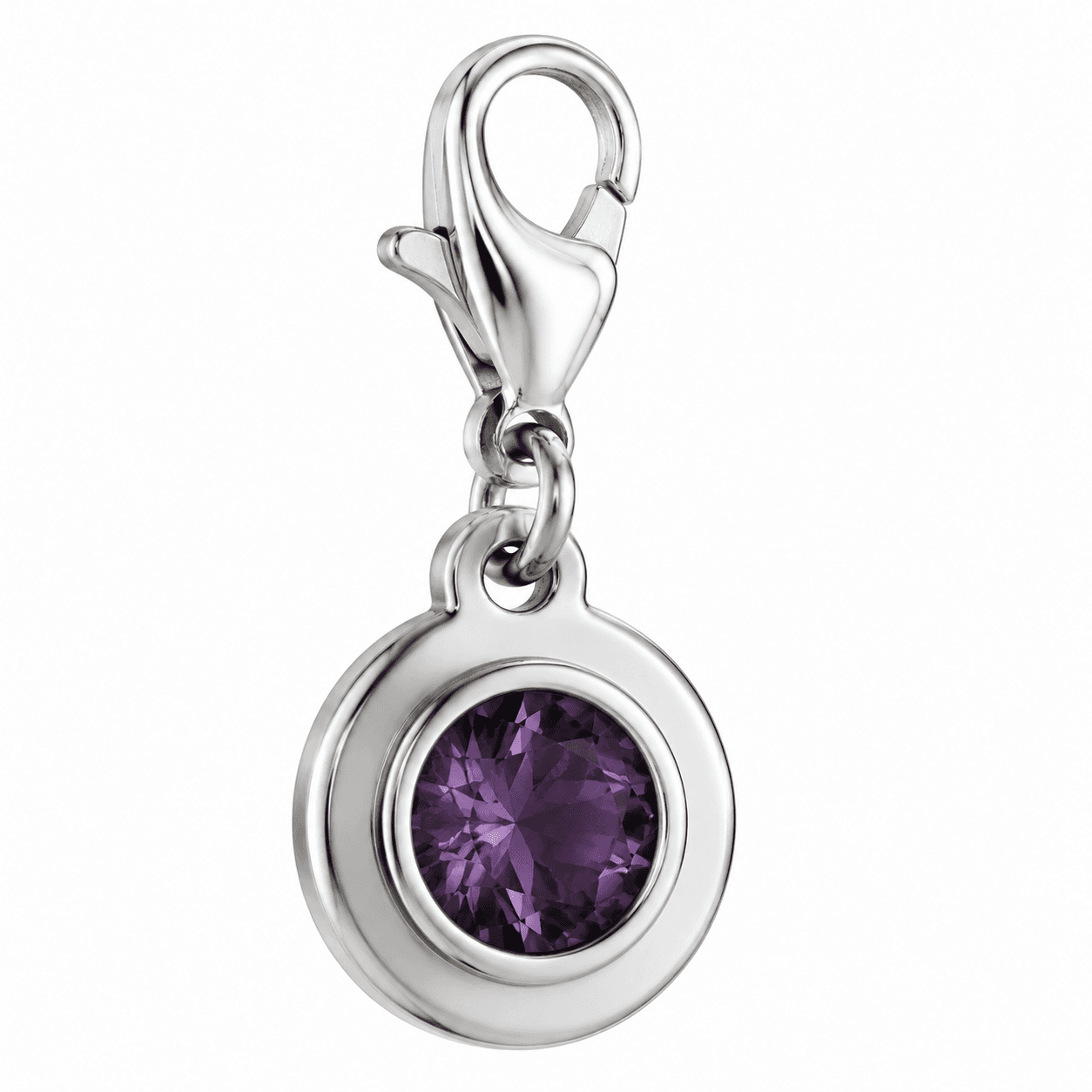 February Galaxy Spiral Amethyst 316L Stainless Steel Charm