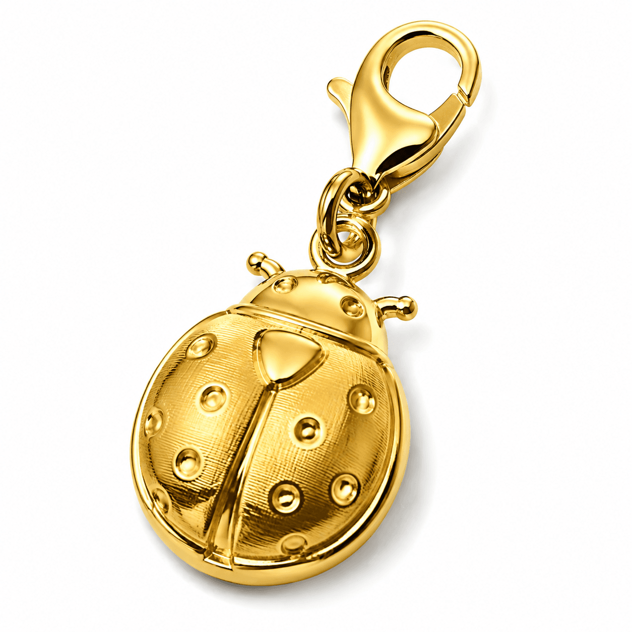 Aurora Golden Ladybug Circle Charm - 316L Stainless Steel, 18K Gold Plated