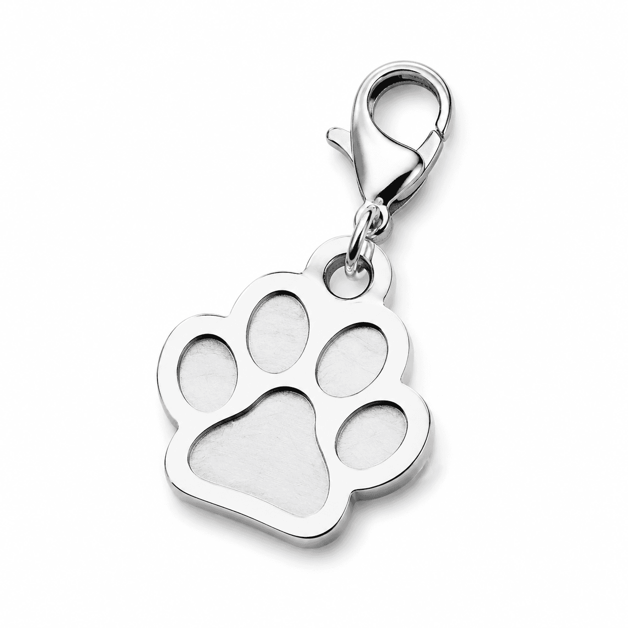 Pet stainless steel charms popularity: 2026 trend report